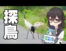 【夏休み旅行祭】はじめてのタンチョウ