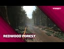 FAST FUSION：Redwood Forest タイムアタック
