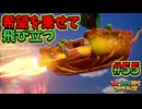 【マリオ＆ルイージRPGブラザーシップ】海越え山越え世界越え！！キズナが紡ぐ物語_Part55【実況】