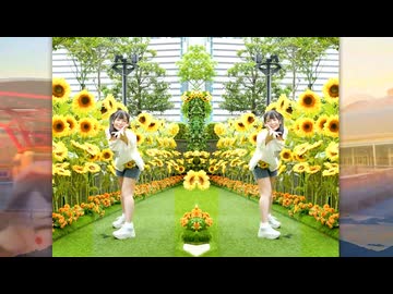 【ミラーぺんた】あの夏のいつかは【練習用】