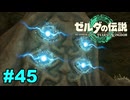【ゆっくり実況】ティアキンぜんぶやる #45