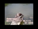 再就職を先延ばしにして原付でちょっくら日本一周してくる【30～34日目】