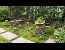 【お茶の水 屋上庭園】Surugadai Rooftop garden三井住友海上 駿河台ビル屋上庭園を散歩2022_10_25