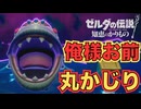 夢を見る島リスペクトな部分かな【ゼルダの伝説 知恵のかりもの】　＃９