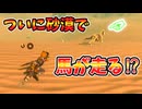 遂に砂漠で馬が走った！？(ver1.0.0)【ティアキン TotK】裏技 バグ 検証 ゆっくり実況 glitch