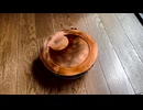 蚊取り線香の煙が昇る様子を眺めるだけの30分
