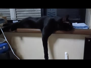 片足伸ばすこま
