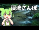 【フォトウォーク祭2025】木谷沢渓流でエッッッッモい写真を撮り歩くずんだもん