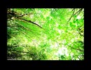 【歌ってみた】空も飛べるはず / cover by Maru