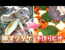 マツタケに似てる(！？)天然キノコをピザに乗せて食べる！【ヤナギマツタケ】