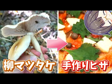 マツタケに似てる(！？)天然キノコをピザに乗せて食べる！【ヤナギマツタケ】