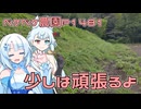 2025年9月12日　農作業日誌P1481　粘土を返品してからの木工細工したり、草刈りしてます