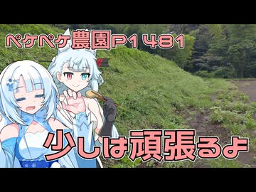 2025年9月12日　農作業日誌P1481　粘土を返品してからの木工細工したり、草刈りしてます