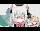 カイヤグラ / 小夜/SAYO, ナースロボ＿タイプＴ