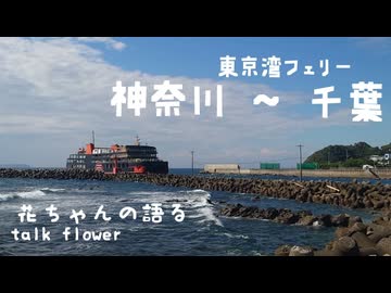 【 talk flower 】千葉までフェリー乗ってなめろう食べ行こうぜ