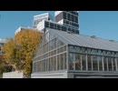greenhouse building in the city