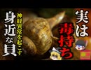 『旬の美味しい貝で命の危機』夏の味覚「つぶ貝」適切な処置をしないと実は危険な毒「テトラミン」物が二重に見えて立てなくなり、手足のしびれや吐き気、腹痛も…【ゆっくり解説】