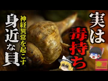 『旬の美味しい貝で命の危機』夏の味覚「つぶ貝」適切な処置をしないと実は危険な毒「テトラミン」物が二重に見えて立てなくなり、手足のしびれや吐き気、腹痛も…【ゆっくり解説】