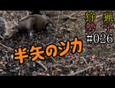 狩猟勢子動画＃026　半矢のシカ