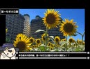 【フォトウォーク祭2025】お写んぽ！夏の浮御堂、琵琶湖とひまわり