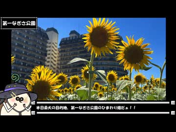 【フォトウォーク祭2025】お写んぽ！夏の浮御堂、琵琶湖とひまわり