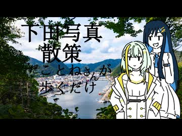 【フォトウォーク祭2025】ただことねさんが歩くだけ【下田写真散策】