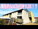 ロフトのあるオシャレ部屋１ldk賃貸アパート アランコート 岡山市中区さい東町