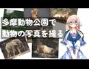 多摩動物公園で動物の写真を撮るぞい！【お散歩日記】