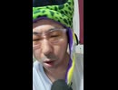 ブルブル((((；ﾟДﾟ))))Spring寒中水泳　Dancing In the Shark