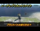 ニーアレプリカントリメイク　ブラックバスの釣り方は？　続・続・続・続・釣りをする人　クエスト攻略　＃５３　【NieR Replicant ver.1.22474487139...】