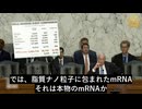 ジョンソン上院議員、公聴会で「ワクチンは安全で有効」論を体系的に論破