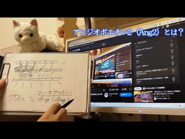 【おうちシリーズ】毒チン後遺症がもたらすゴースト血管の改善で解毒効果の期待もアップ！