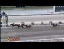 2025年9月13日高知競馬4R 株式会社山口シネマ協賛ユースチャレンジシリーズ ＪＲＡ認定 堆金菊特別(準重賞・2歳) サンフラワームーン