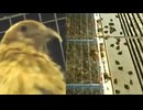 ホモと見る落雷で一斉に気絶してしまう数千匹のうずら