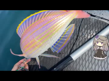 新しいサップで、海に出る：冥鳴ひまり