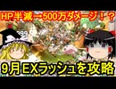 最大HP半減からの500万ダメージ！？…9月のEXラッシュを攻略するぞ【パズドラ】