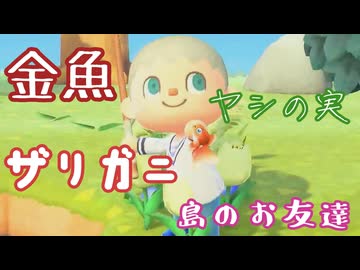 【あつまれどうぶつの森】たぬきマイルでおでかけしよう アクアリウム！金魚やザリガニが釣れた！【声実況】