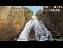 しみっちゃん生放送36　日光付近　湯ノ湖を眺める3　湯滝　2024年　紅葉シーズン