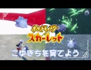 【こゆきち育成回】ポケモンSc 虫贔屓 初見のんびり実況【37話目】