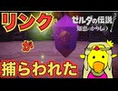 実はリンクはもう裂け目から脱出してた？？【ゼルダの伝説 知恵のかりもの】　＃１１