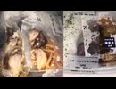 537円84銭のセブンイレブンの令和３年産備蓄米使用のガーリックチキン弁当を食べました。　#セブンイレブン　#備蓄米　#ガーリックチキン
