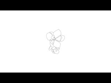 舞台の一輪の花 (feat. 初音ミク)