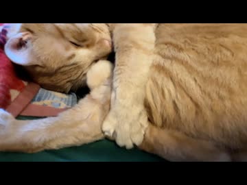 おめめごしごし
