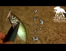 ココキャン 第248話『仕事終わり至福の時間』