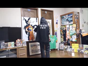 【平成画質で】shake it ! 踊ってみた【ガブさん】