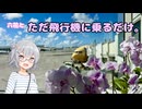 【初投稿】ただ飛行機に乗ってみる【小春六花】【VOICEPEAK】