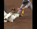ホモと見るメジャーリーグのチンプレー