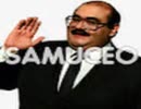 samuceo