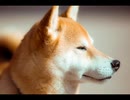 暇だし曲作ってみた（短い）