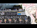 【水族館雑談】うみがたりの魅力を語りたい！【伊織弓鶴】